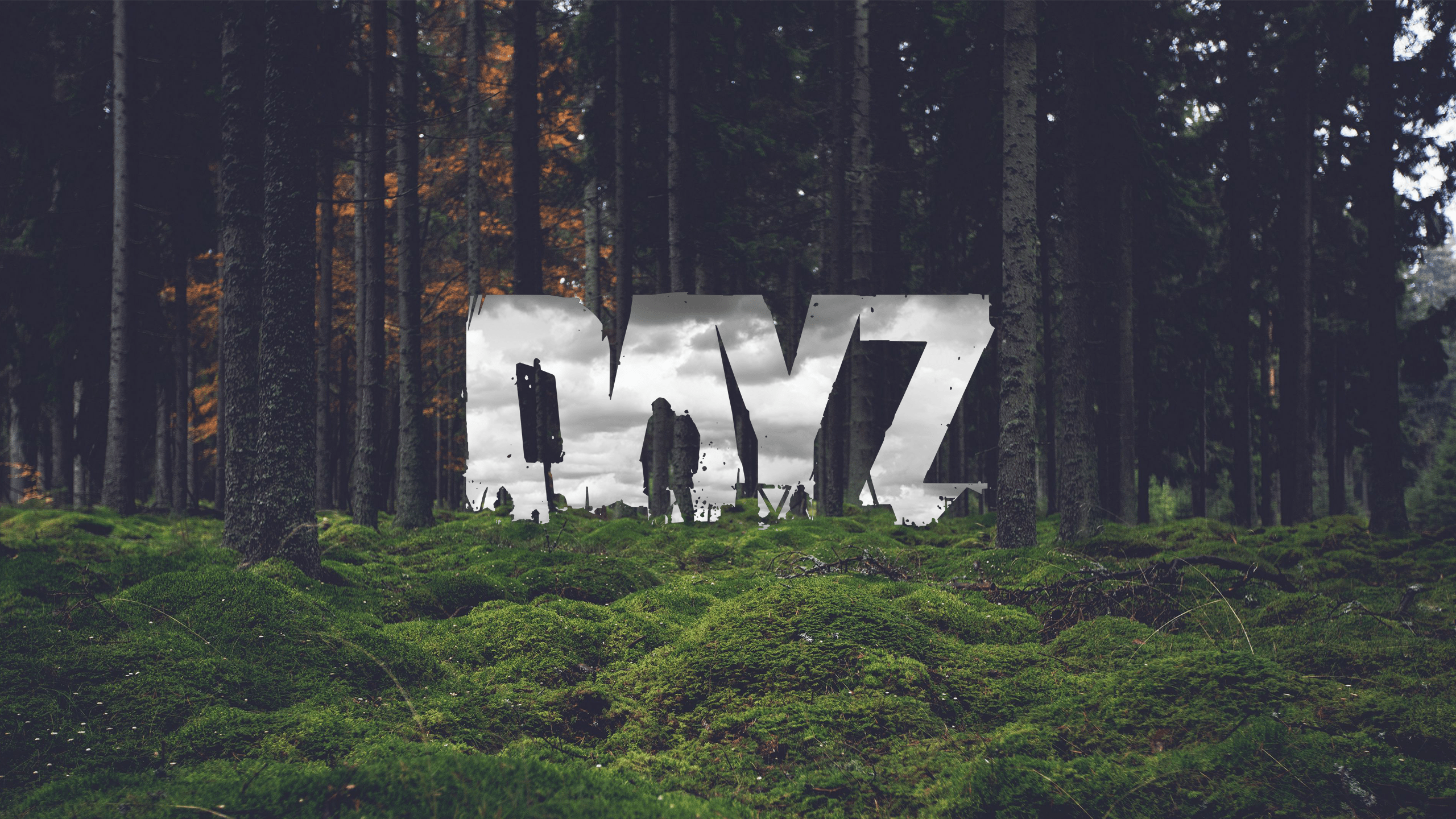 Скачать DayZ 0.62 на shvedplay.ru